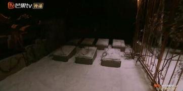 国产鸡皮疙瘩视频,鸡皮疙瘩密布的恐怖之旅